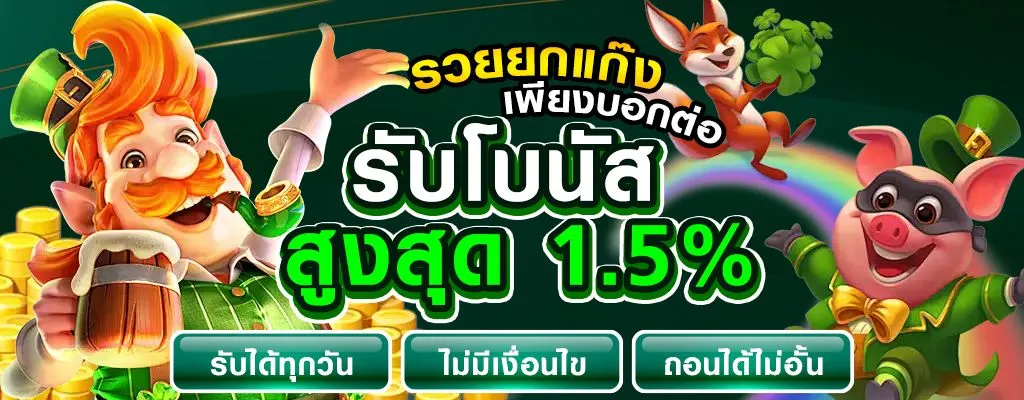 โปรโมชั่น5